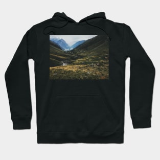 Road Winding Through Swiss Mountain Valley Hoodie